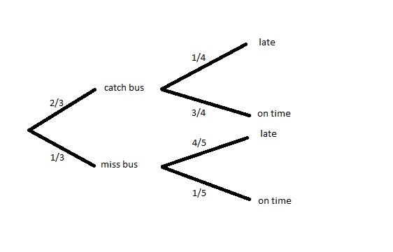  DIAGRAM Oak Tree Diagram MYDIAGRAM ONLINE